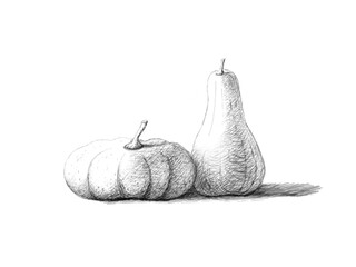 Handmade pencil drawing of pumpkin for decoration, card or design