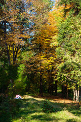 Naklejka premium Beautiful autumn landscape in Vanadzor's botanical garden