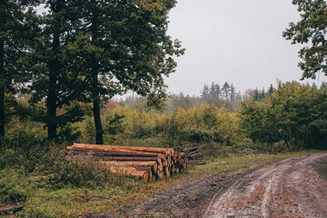 Autumn Landscape