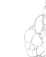 Vector grunge texture 61