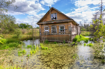 Obraz premium Old wooden abandoned house in a swamp