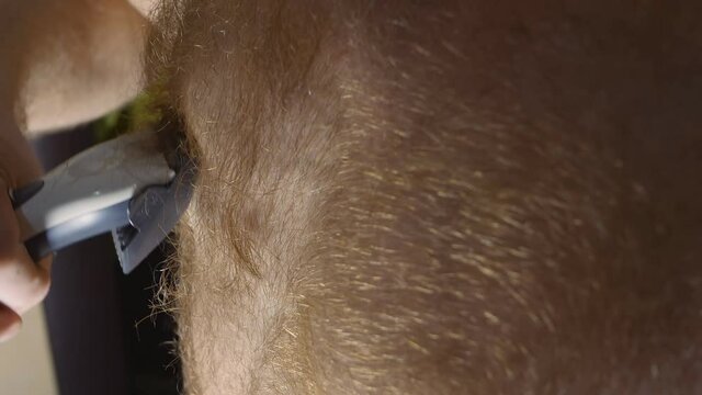a Caucasian man shaves his hairy body himself. Shave chest hair in front of the mirror. A man has a very hairy body. Red hair on the chest. 4k. close-up