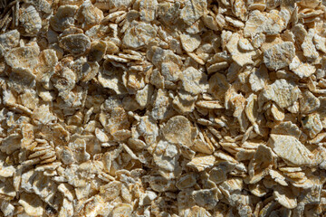 natural oat grain texture, lots