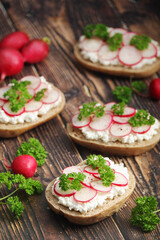 Sandwiches with fresh radishes and cotton cheese