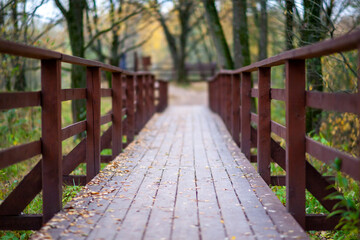 Fototapeta na wymiar wooden bridge in autumn Park , shallow depth of field.