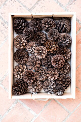 box with dried pine cones