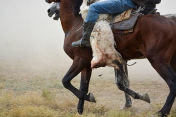 "Kokpar". National game of Kazakhs. In the middle lies the soul of a sheep.