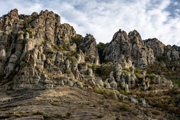 panoramic view of the mountains and the valley against the backdrop of green pine trees and autumn sky