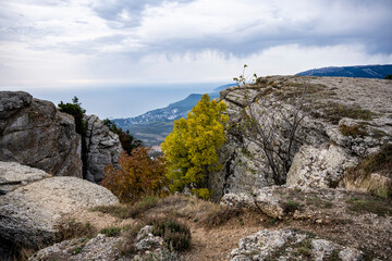Fototapeta na wymiar panoramic view of the mountains and the valley against the backdrop of green pine trees and autumn sky