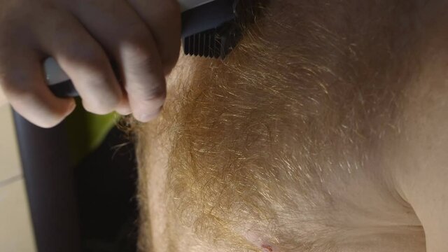 close-up of a man with a lot of body hair. A man shaves off his chest hair with an electric clipper. Body shaving with a trimer. Male body care. 4k