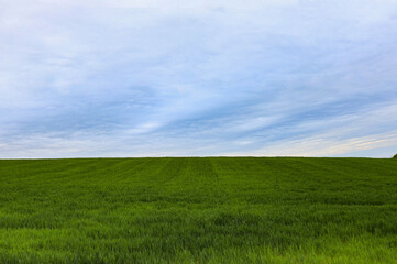 Obraz premium horizon