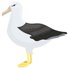 Obraz premium A beautiful bird with yellow beak depicting pelicans 