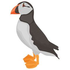 
A high fly bird with red beak depicting an icon for falcon 
