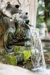 Fototapeta na wymiar Close up Fountain with a Lion Head