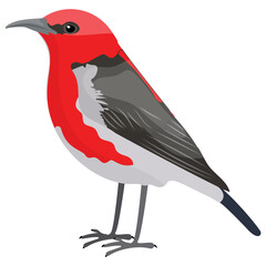 
A colorful bird with long beak depicting  eurasian finch 
