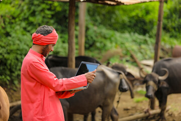 Indian farmer using laptop at dairy farm
