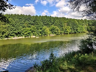 lake in the forest