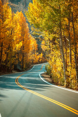The curvy roads of Inyo County, California