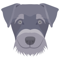 
A kind of bulldog with low ears and heavy face depicting staffordshire bull
