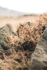 выездная регистрация