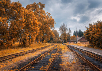 Fototapeta na wymiar Rural railway station in autumn in cloudy day. Industrial landscape with old railway platform, orange trees, buildings, overcast sky. Railroad and beautiful forest in countryside. Railway in fall