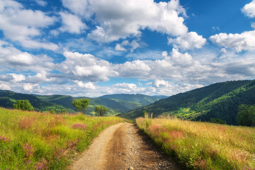 Fototapeta na wymiar Mountain dirt road at sunny bright day in summer. Colorful landscape with road, green grass, purple flowers, mountains with forest, blue sky with clouds at sunset. Trail on the hill. Travel and nature