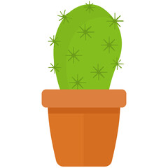 
A pot having flat shape leaves, indoor prickly pear 

