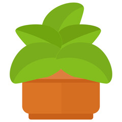 
A spinach leaves like structure in a mud pot depicting ficus lyrata 
