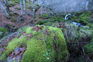 Argovejo. León. Castilla y León.