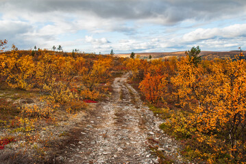 Fototapeta na wymiar A way going through harsh autumn nature of Finnmark, Norway