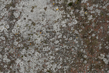 Abstract colorful cement wall texture and background with cracks