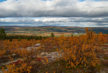 The scenery of mountains and autumn forests of Finnmark, Norway