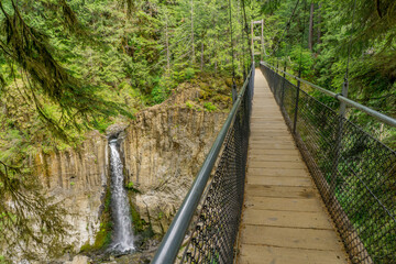 Drift Creek Falls Trail, Siuslaw National Forest, Otis, Oregon, USA