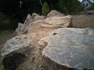 spring grass fresh nature fly