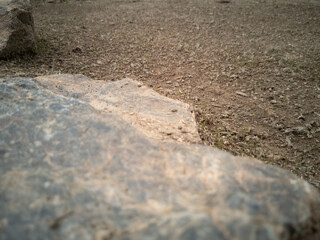 spring grass fresh nature fly