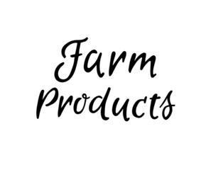 Vector illustration, product text. Hand lettering for restaurant, cafe menu. Elements for labels, logos, badges, stickers or icons. 