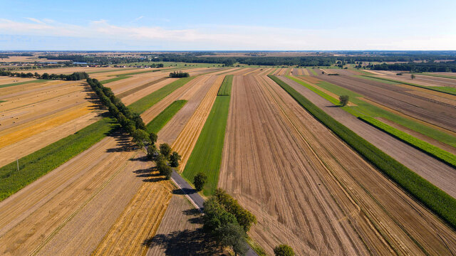 Shots from the drone, countryside landscape
