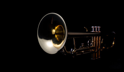 Fototapeta premium Golden trumpet glows at night