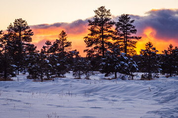 Sunset at Buffalo Park covered in snow Flagstaff Arizona