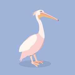 Pink Pelican vector illustration