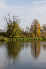 Large green tree on the river Bank with reflection and cloudy sky. Autumn landscape and copy space
