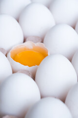 A broken egg inside the eggs