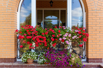 Fototapeta na wymiar flowers on the windowsill
