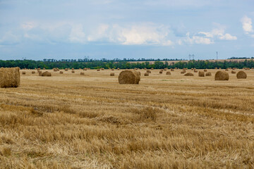 Fototapeta premium yellow haystacks on the field