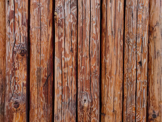 wood texture from logs