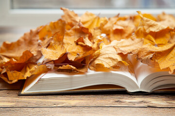 Book on a background of yellow leaves. The concept of autumn.