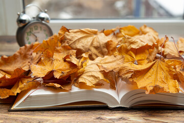 Book on a background of yellow leaves. The concept of autumn.