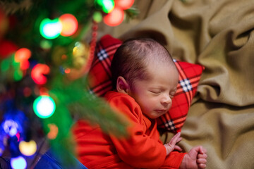 Cute newborn baby. Sleeping baby under the fir-tree. Closeup portrait of newborn baby. Baby goods packing template. Nursery. Medical and healthy concept. Christmas. New Year