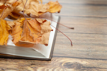 Book on a background of yellow leaves. The concept of autumn.