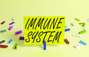 Text sign showing Immune System. Business photo text a bodily system that protects the body from foreign substances Colored crumpled rectangle shaped reminder paper light blue background